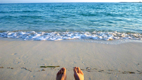 Living a Stress-Free Life Every Day Living a Stress-Free Life Every Day